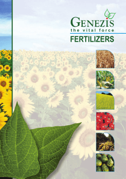 fertilizers - Nitrogen.hu