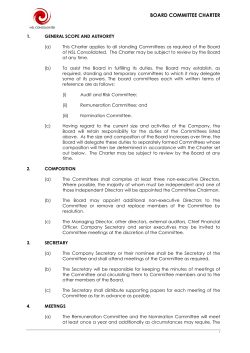 board committee charter - NSL Consolidated Limited
