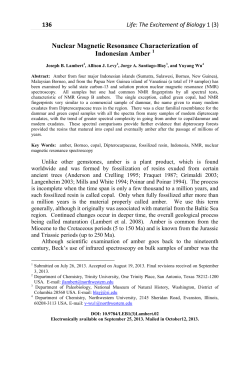 Nuclear Magnetic Resonance Characterization of Indonesian Amber