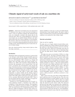 Climatic signal of earlywood vessels of oak on a maritime site