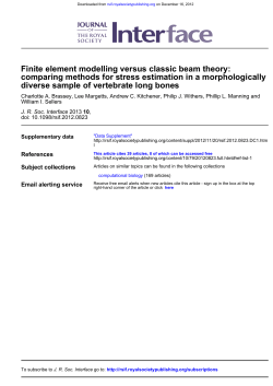 diverse sample of vertebrate long bones morphologically comparing