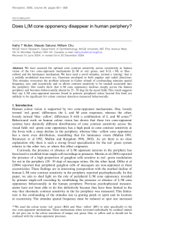 Does L/M cone opponency disappear in human periphery?