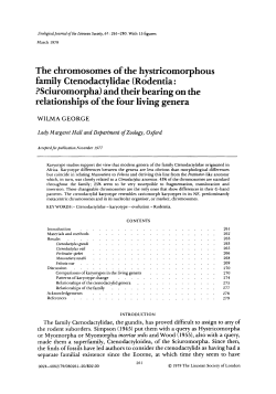 The chromosomes of the hystricomorphous