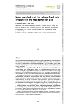 Printer-friendly Version