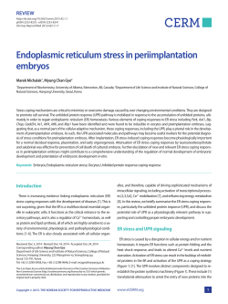 Endoplasmic reticulum stress in periimplantation embryos