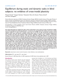 Equilibrium during static and dynamic tasks in