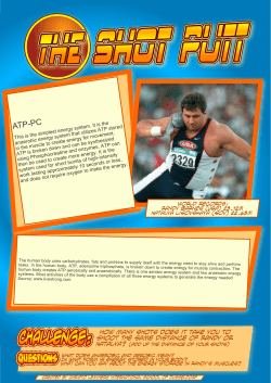 ATP-PC - Physed Rocks!