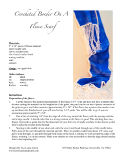 Crocheted Border On A Fleece Scarf