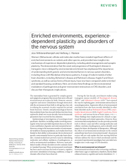 Enriched environments, experience- dependent