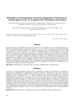 Rhizosphere microorganisms, potential antagonists of Fusarium sp