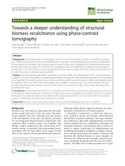Towards a deeper understanding of structural biomass recalcitrance