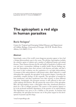 The apicoplast: a red alga in human parasites
