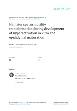 Hamster sperm motility transformation during