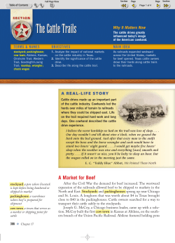 The Cattle Trails The Cattle Trails