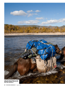 Nomads and monster trout in Mongolia