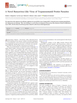A Novel Bunyavirus-Like Virus of Trypanosomatid Protist Parasites