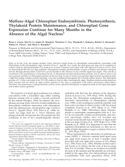 Here - Biology Department