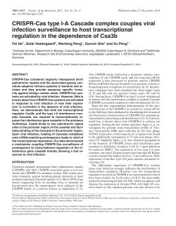 CRISPR-Cas type I-A Cascade complex couples viral infection