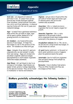 Definitions: busting jargon