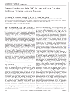 Evidence From Retractor Bulbi EMG for Linearized Motor Control of