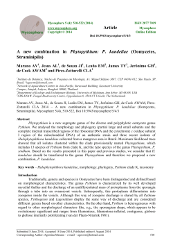 A new combination in Phytopythium: P. kandeliae (Oomycetes