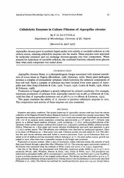 Cellulolytic Enzymes in Culture Filtrates of
