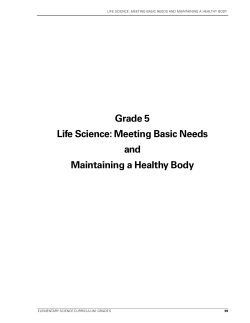 Grade 5 Science Curriculum