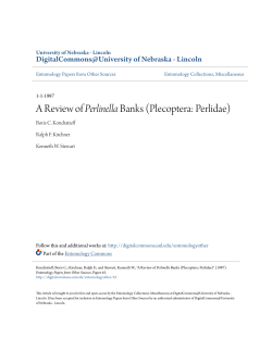 A Review of Perlinella Banks (Plecoptera: Perlidae)