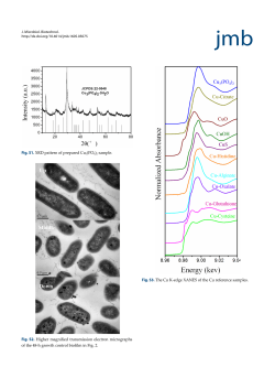 Fig. S1. XRD pattern of prepared Cu3(PO4)2 sample. Fig. S2