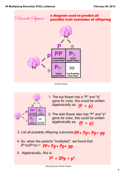 04 Multiplying Binomials (FOIL).notebook
