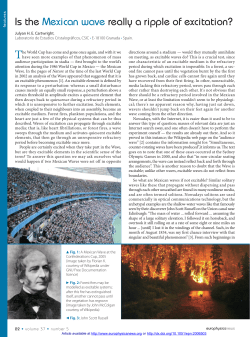 Is the Mexican wave really a ripple of excitation?