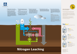 Nitrogen leaching - Yara International