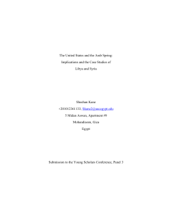 The United States and the Arab Spring: Implications and the Case