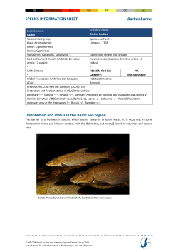 HELCOM Red List Barbus barbus