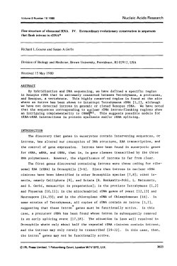Fine structure of ribosomal RNA. IV. Extraordinary evolutionary