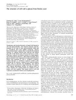 The structure of cell wall a-glucan from fission yeast