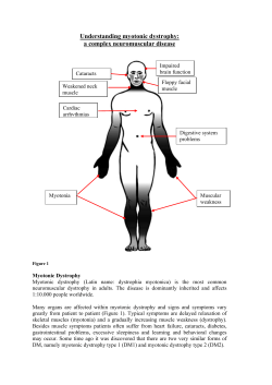 Understanding myotonic dystrophy