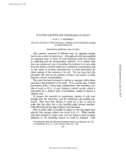 IS LIVING PROTOPLASM PERMEABLE TO IONS?