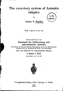 The excretory system of Anisakis simplex - Wageningen UR E