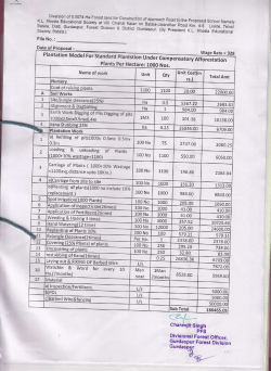 PL - Forests Clearances