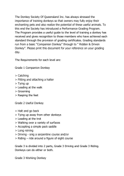 The Donkey Society Of Queensland Inc. has always stressed the