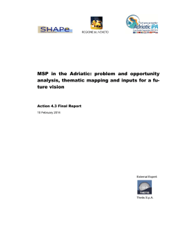 MSP in the Adriatic - Sistema Venezia