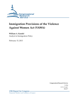 Immigration Provisions of the Violence Against Women Act (VAWA)