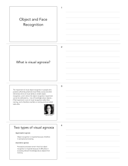 Object and Face Recognition