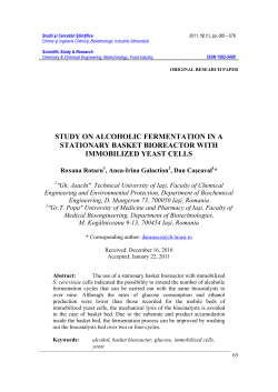 study on alcoholic fermentation in a stationary basket bioreactor