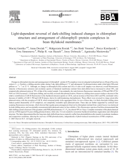 Light-dependent reversal of dark-chilling induced changes in