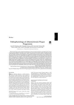 Pathophysiology of Atherosclerosis Plaque Progression