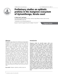 Preliminary studies on epibiotic protista in the mangrove ecosystem