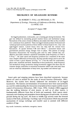 mechanics of six-legged runners