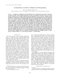 An Introduction to Loricifera, Cycliophora, and